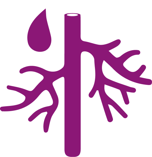 SPINE MRI